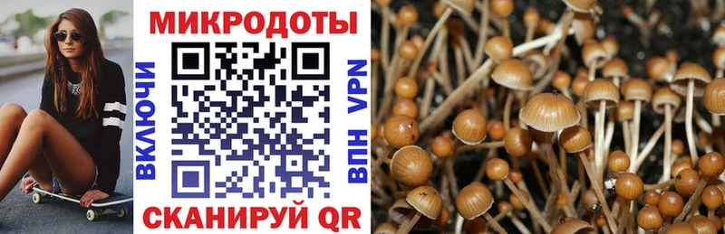Галлюциногенные грибы Psilocybe  где найти наркотики  Кирс 